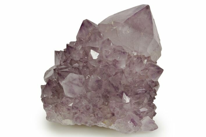 Deep-Purple Cactus Amethyst Crystal Cluster - South Africa #364616